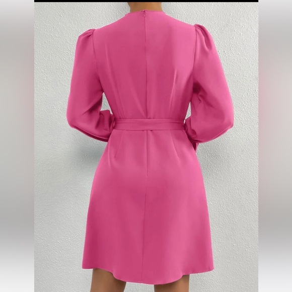 NWOTW FLOUNCE Sleeve Mock Neck Belted Dress Size 4 small - Picture 2 of 5